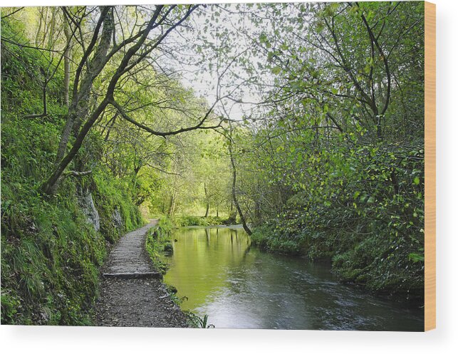 Dovedale Wood Print featuring the photograph The Splendour of Dove Valley by Rod Johnson
