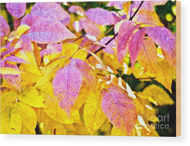 Abstract Wood Print featuring the photograph The Warm Glow In Autumn Abstract by Andee Design