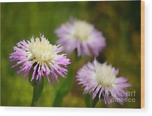 Digital Painting Wood Print featuring the photograph Thistle Illusion by Vicki Pelham
