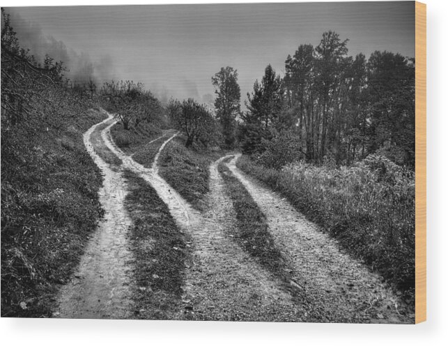 Blue Ridge Wood Print featuring the photograph Three Paths Meet by T Cairns