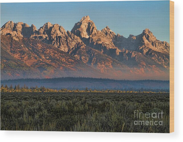 Tetons Wood Print featuring the photograph Touch of Color by Edward R Wisell