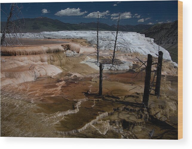 Yellowstone National Park Wood Print featuring the photograph Travertine Terraces by Ralf Kaiser
