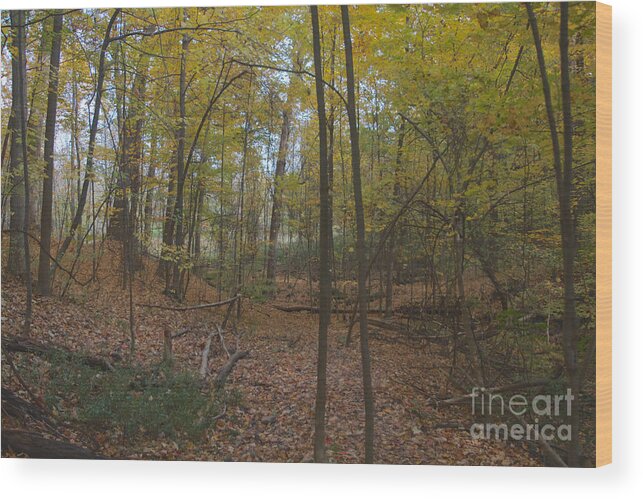 Tryon Park Wood Print featuring the photograph Tryon Park by William Norton