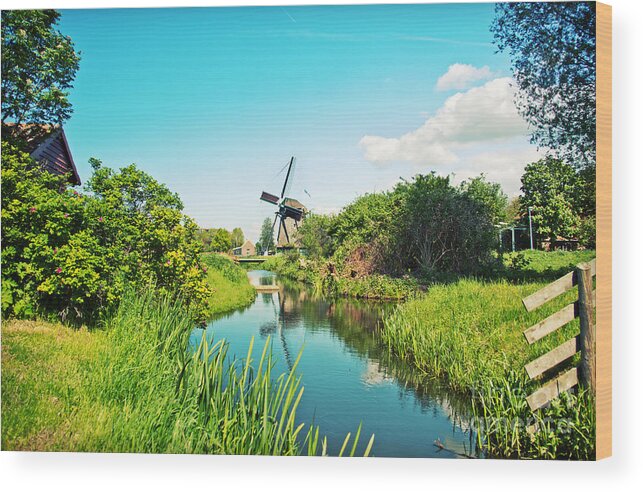 Netherlands Wood Print featuring the photograph Typical Dutch Windmill by Ariadna De Raadt