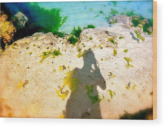 Beach Wood Print featuring the photograph Under the Sea by HweeYen Ong