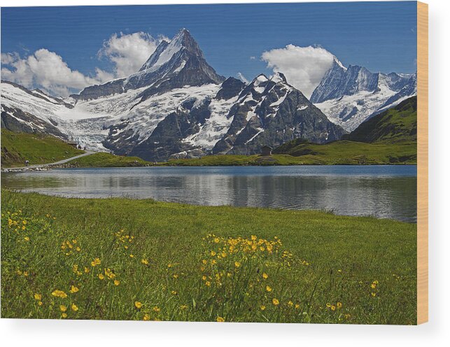 Switzerland Wood Print featuring the photograph Up in the Bernese Alps by Ulrich Burkhalter