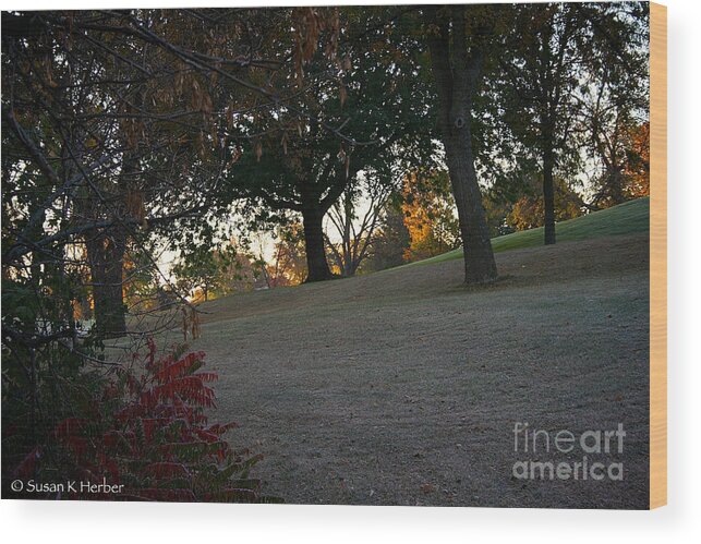 Outdoors Wood Print featuring the photograph Uphill Sunrise by Susan Herber