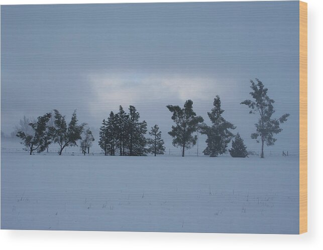 Nature Wood Print featuring the photograph Valley Sentinels by Holly Ethan