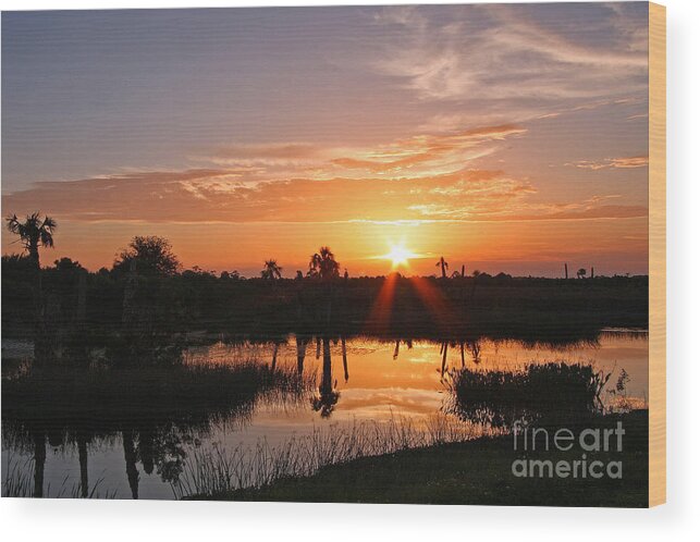 Viera Sunset Wood Print featuring the photograph Viera Wetlands Sunset by Jennifer Zelik