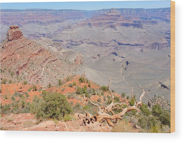 View Wood Print featuring the photograph View from the South Kaibab Trail II by Julie Niemela