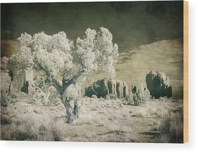 Vintage Wood Print featuring the photograph Vintage Monument Valley Desert by Mike Irwin