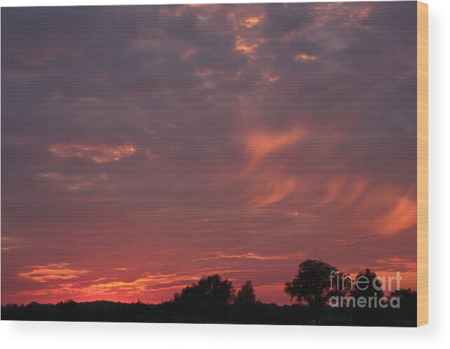 Sunset Wood Print featuring the photograph Warwickshire sunset by Linsey Williams