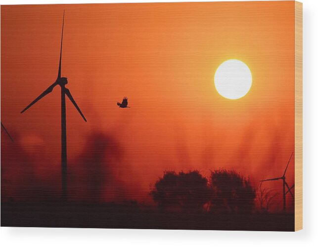 Landscape Wood Print featuring the photograph Watching the Sunrise by Elizabeth Budd