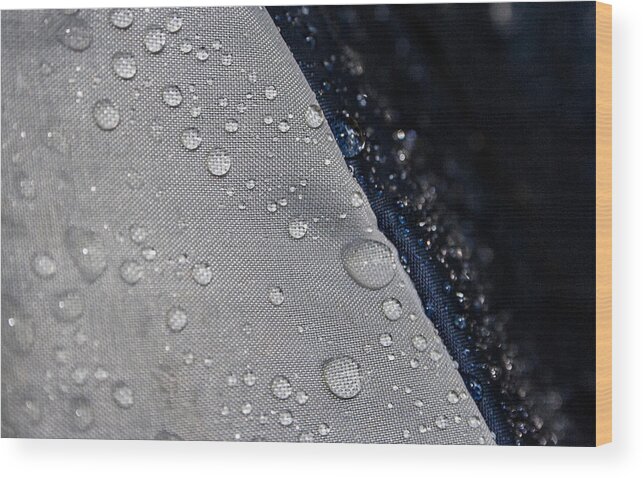 Water Droplets Photograph Wood Print featuring the photograph Water Droplets by Ester McGuire