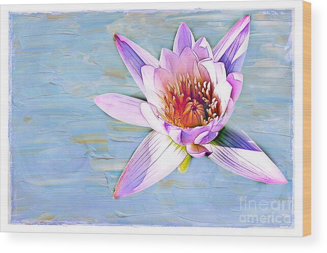 Water Wood Print featuring the photograph Water Lily by Judi Bagwell