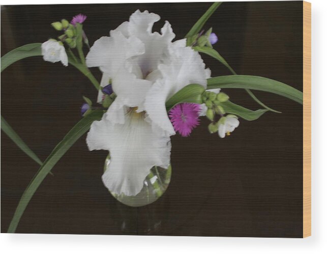 Orchid Wood Print featuring the photograph White Orchids by Patricia Haynes