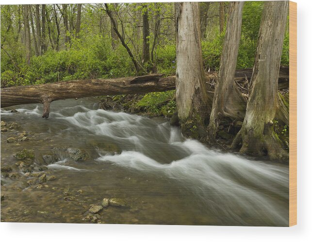 Whitewater Wood Print featuring the photograph Whitewater River Spring 18 by John Brueske