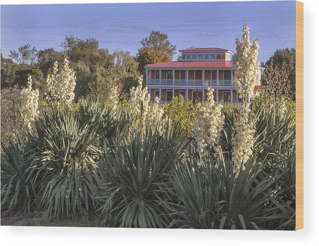 Pinot Noir Wood Print featuring the photograph Willow Creek Winery II by Tom Singleton