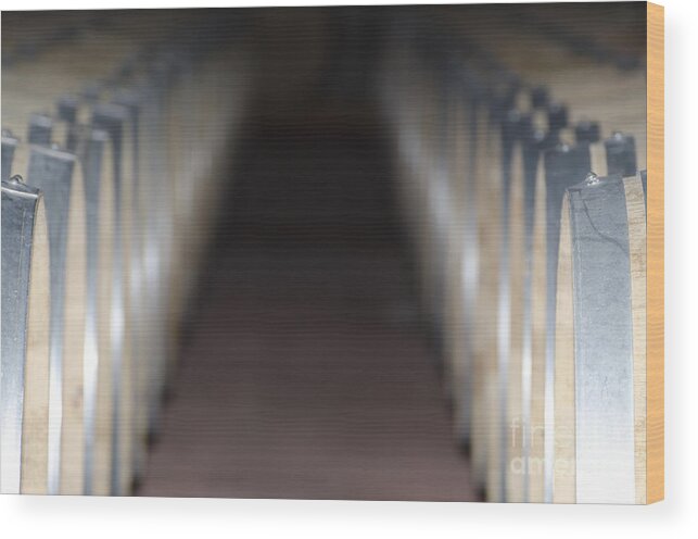 Wine Barrel Wood Print featuring the photograph Wine barrels in line by Mats Silvan