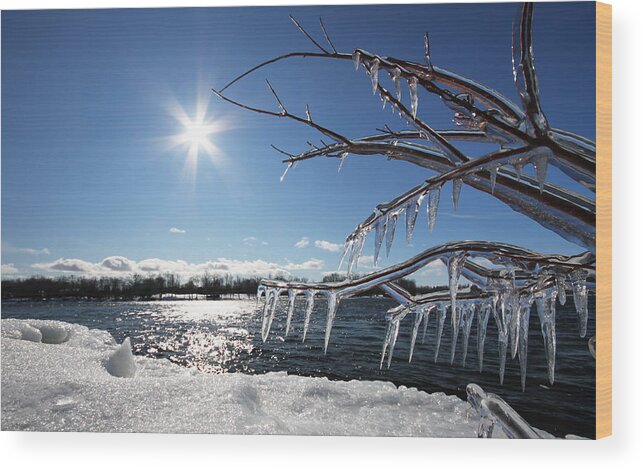 Winter Wood Print featuring the photograph Winter Tale by Mircea Costina Photography