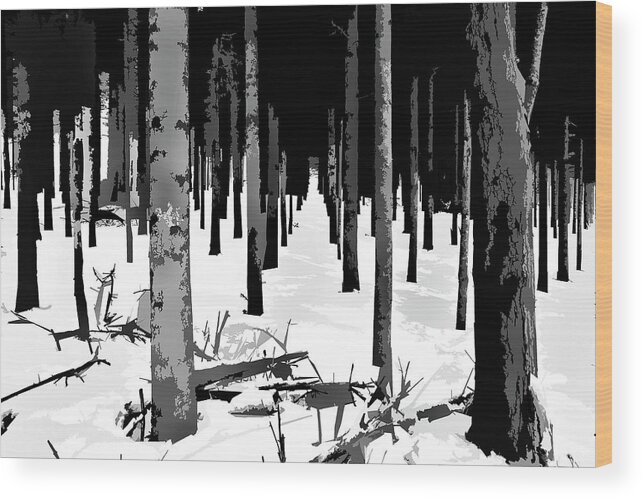 Forest In Winter Wood Print featuring the photograph Winter Wooded Part 2 by Burney Lieberman