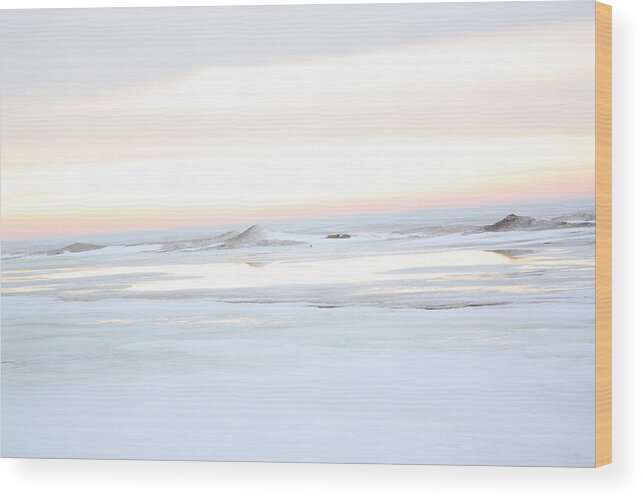 Winter Shoreline Wood Print featuring the photograph Winters Bright Light by Carrie Godwin