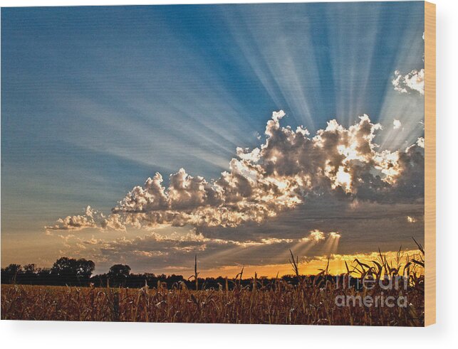Clouds Wood Print featuring the photograph Wow Moment by Brian Duram