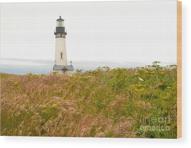 Yaquina Head Lighthouse In Oregon Wood Print featuring the photograph Yaquina Head Lighthouse in Oregon by Artist and Photographer Laura Wrede