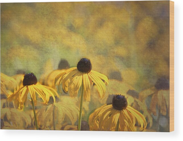  Wood Print featuring the photograph Yellow by Cathy Kovarik