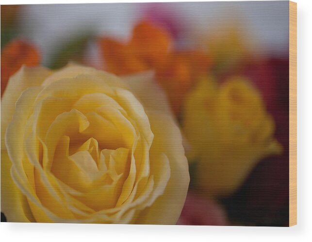 Flower Wood Print featuring the photograph Yellow Rose by Carole Hinding