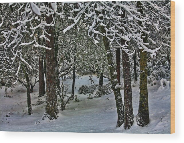 Landscape Wood Print featuring the photograph Yosemite Snow by Bonnie Bruno