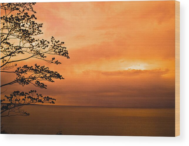 Sunset Wood Print featuring the photograph Zen Sunset by Jason Naudi