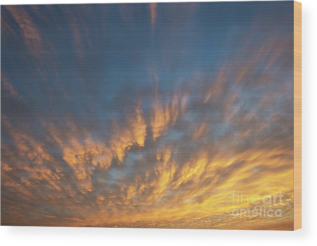 Sunrise Wood Print featuring the photograph A New Dawn #1 by Tim Gainey