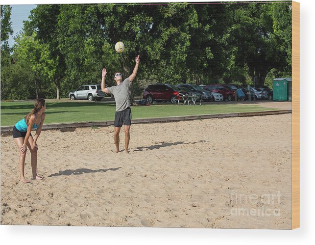 Beach Wood Print featuring the photograph A young male athlete serving and playing volleyball on Zilker Park sand volleyball courts #1 by Dan Herron