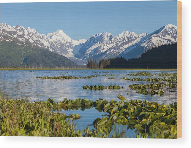Alaska Wood Print featuring the photograph Alaska Coastal Landscape #3 by Scott Slone