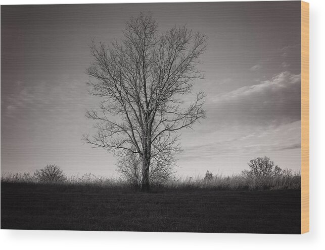 Illinois Wood Print featuring the photograph Alone #1 by George Strohl