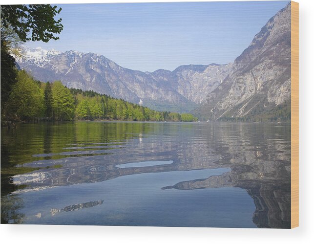 Spring Wood Print featuring the photograph Alpine Clarity #1 by Ian Middleton