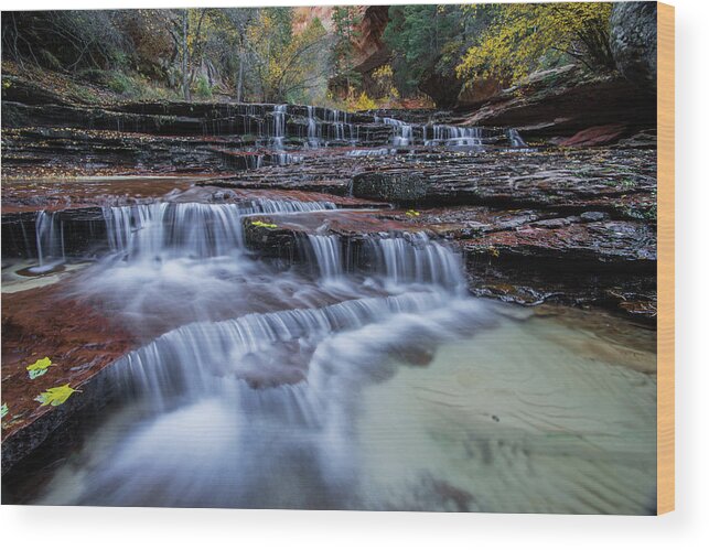 Zion Wood Print featuring the photograph Arch Angel Falls by Wesley Aston
