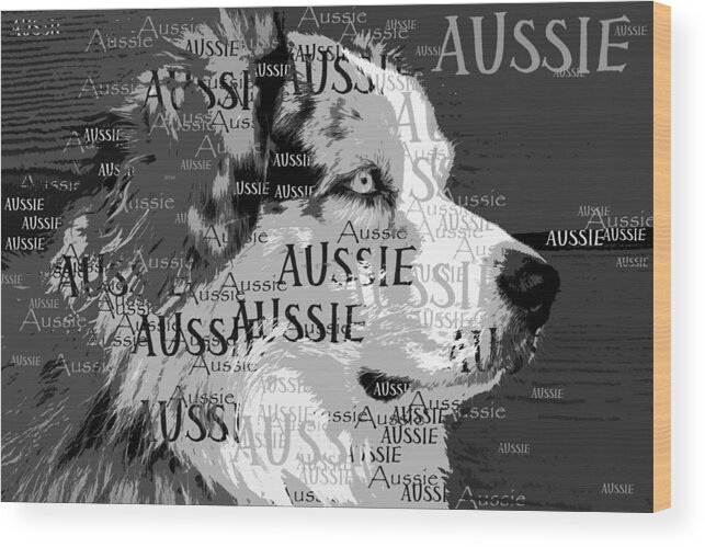 Australian Shepherd Portrait Wood Print featuring the digital art Aussie #1 by Nancy Merkle