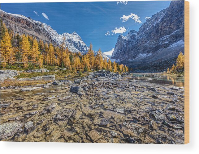 5dsr Wood Print featuring the photograph Autumn at the Opabin Plateau #2 by Pierre Leclerc Photography
