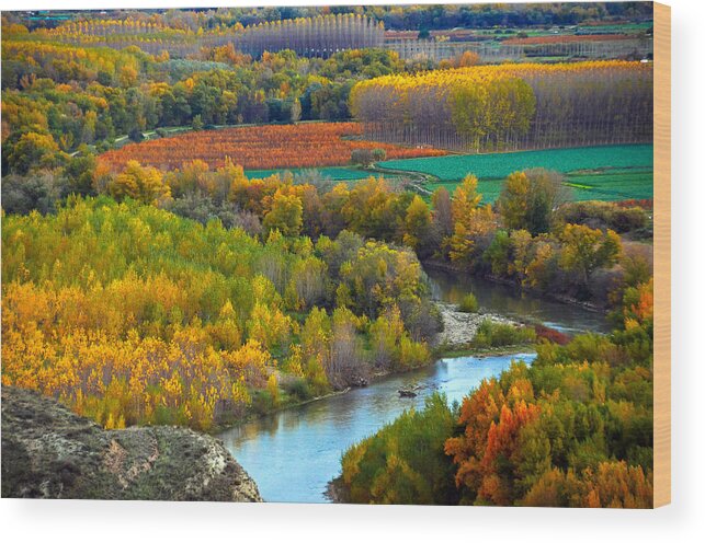 Color Wood Print featuring the photograph Autumn colors on the Ebro river #2 by RicardMN Photography