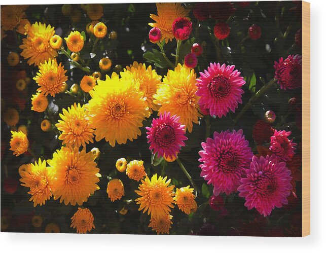 Susan Vineyard Wood Print featuring the photograph Autumn Flowers #2 by Susan Vineyard