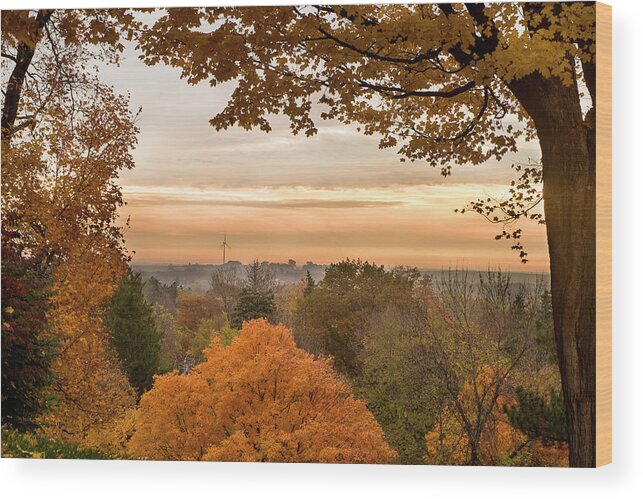 Carleton College* Northfield Wood Print featuring the photograph Autumn On The Hill #1 by Joe Miller