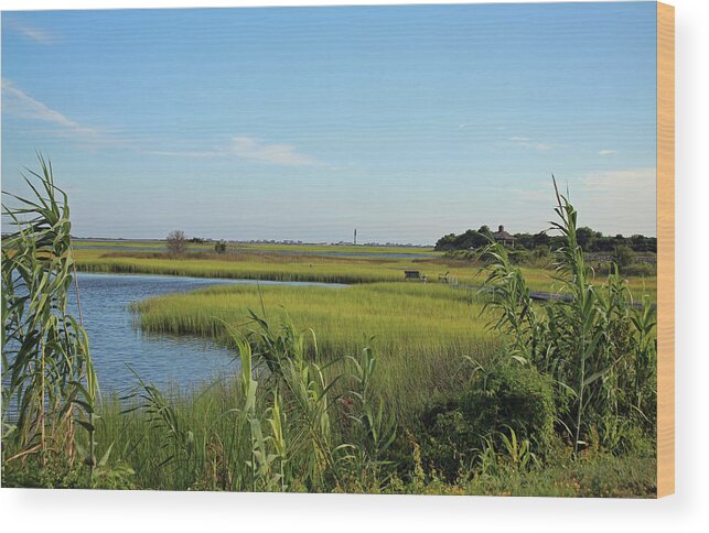 Landscape Wood Print featuring the photograph Beautiful View #1 by Cynthia Guinn