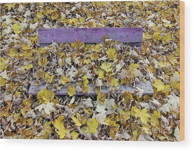 Autum Wood Print featuring the photograph Bench covered in fallen leaves #1 by Michal Boubin
