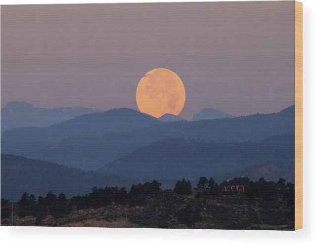 Moon Wood Print featuring the photograph Blue Moon #1 by Trent Mallett