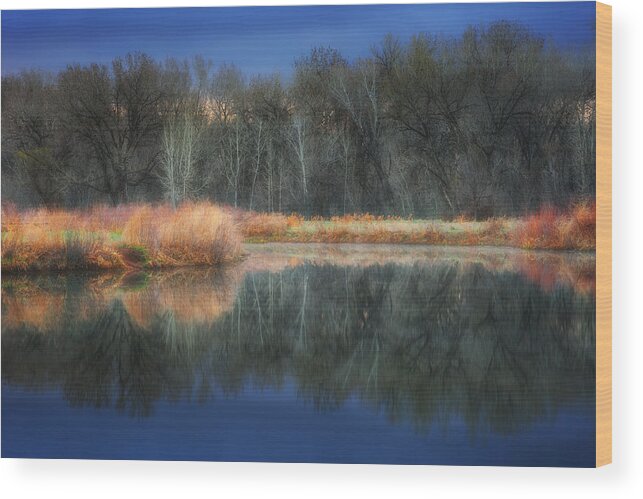 Trees Wood Print featuring the photograph Calm Before the Storm #1 by Darren White