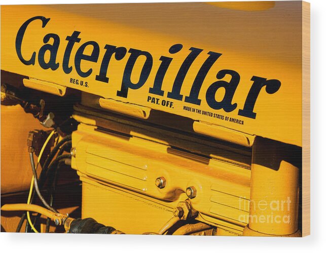 Caterpillar Wood Print featuring the photograph Caterpillar #1 by Olivier Le Queinec