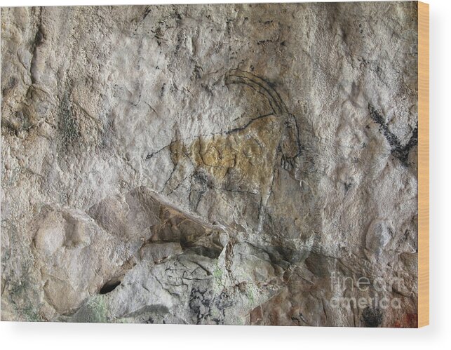 Charcoal Wood Print featuring the photograph Cave painting in prehistoric style #1 by Michal Boubin