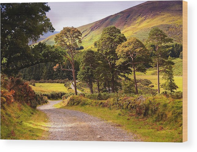 Ireland Wood Print featuring the photograph Celtic Spirit. Wicklow Mountains. Ireland by Jenny Rainbow